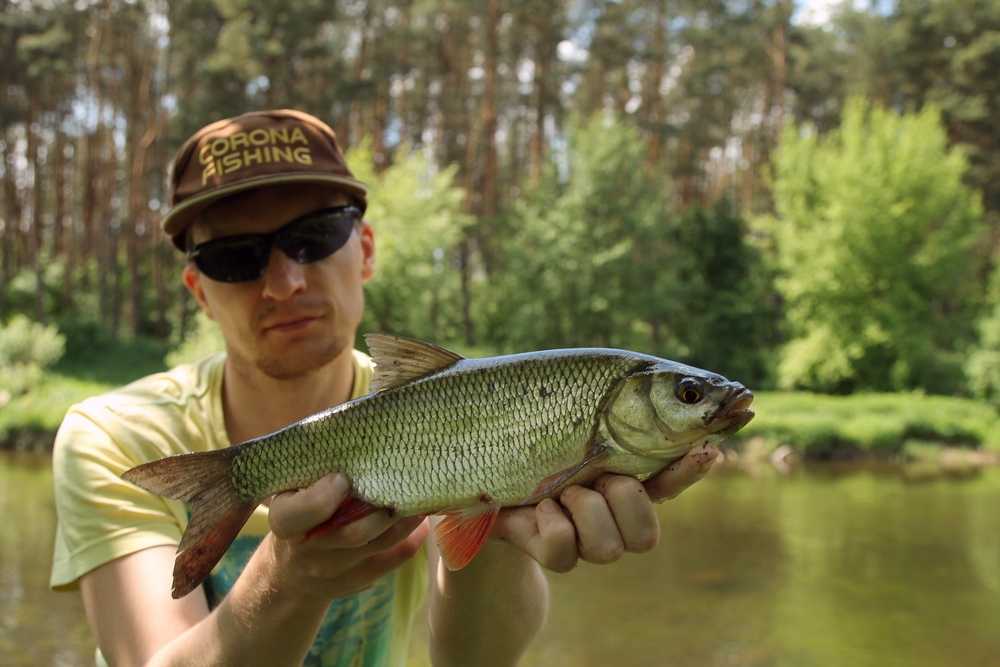 Czas letniej kanikuły